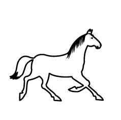 Hoạt động